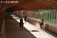 下河辺牧場の屋内調教施設