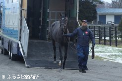 元気な姿でアロースタッドに到着した