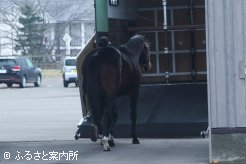 スタリオンスタッフに見送られ新天地へ向かった