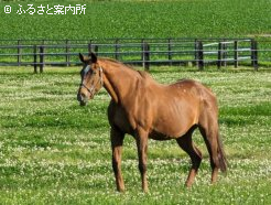 在りし日のファストフレンド①