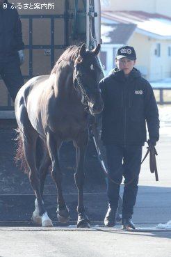 満を持して社台スタリオンステーションに到着した