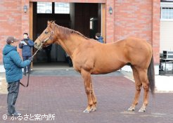 展示会の大トリを務めたのはヘニーヒューズ