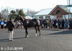 パレードリンクは見学者で埋められた