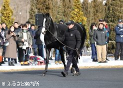 種牡馬入り2シーズン目となったイクイノックス