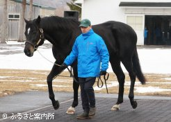 良血タニノフランケルにとっては勝負の年となった