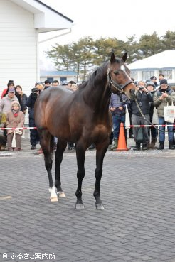 展示会の最初に姿を見せたシニスターミニスター