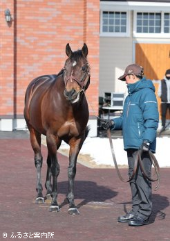 待望の初年度産駒がデビューを迎えるインディチャンプ