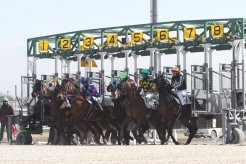 門別競馬場で始まった競走能力･発走調教検査