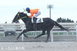 初陣のパートナーはハタノイチバンボシ