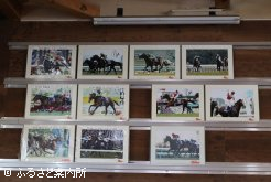 パネルの中にはB-5厩舎以前からの活躍馬も並べられている