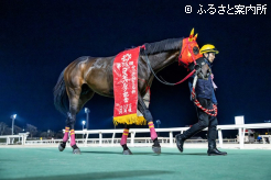 コスモバルク記念2連覇で重賞11勝目