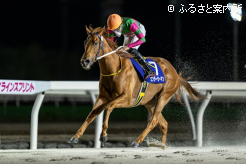 圧倒的なスピードで牝馬戦線の主役に躍り出た