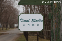 厩舎長となってから、初めてのG1馬を送り出した