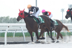 勝ち時計は1分09秒4だった