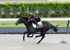 2ハロン21秒3のレジイナアン2023