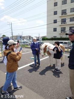 ポニーと記念撮影を行う子供の姿も