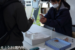 門別競馬場で使用の白砂ビン詰め体験