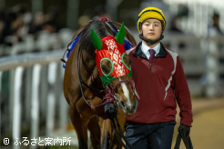 3月の京浜盃(Jpn2)からプラス4kgの馬体重で出走した