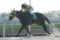 2歳新馬戦に勝利したトリップス