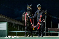 ホライゾネットを装着しているが内枠をクリアしての勝利となった