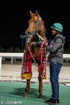 半姉に偉大なスピーディキックがいる良血馬