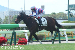 2歳新馬戦をコースレコードで勝ったカイショー