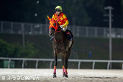 単勝1.0倍の人気に応え、堂々と引き上げてきた