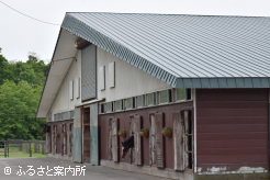 北島牧場の繁殖厩舎