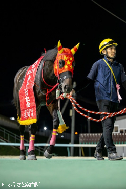 赤レンガ記念連覇は史上7頭目