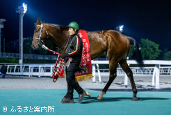笠松遠征からプラス６キロで過去最高の馬体重での出走だった