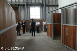 公益社団法人日本軽種馬協会胆振輸出検疫施設を見学