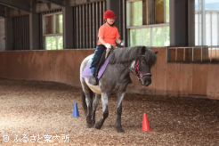 体験乗馬を楽しんだ