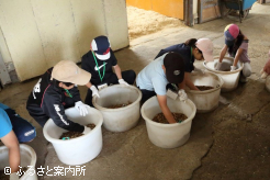 木村秀則牧場ではえさづくりを体験
