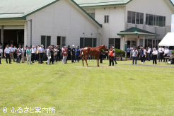 100人を超える購買登録者が市場を盛り上げた