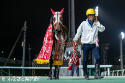 全国レベルの力を見せつけて重賞4勝目をあげた