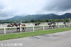 一流のホースマンを目指して研修に励む第43期生