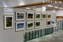 1階では2026年版サラブレッドカレンダーの作品を展示