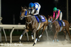 グランダムジャパン春秋連覇を狙う