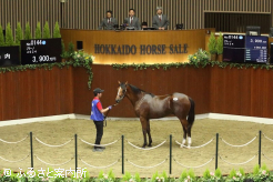 上場番号144番ブラーノ2024の落札時
