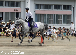 馬と徒競走