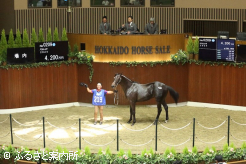 上場番号209番バルレッタ2024の落札時