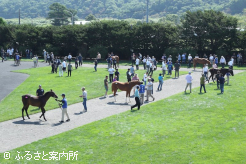 比較展示から多くの購買関係者が足を運んだ
