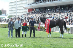 函館2歳S(G3)に勝利したエイシンディード
