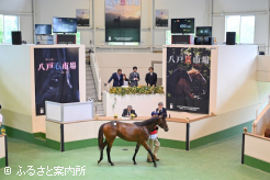 最高価格馬シェーネフラウ2024はJRAが落札した