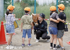 恐る恐る馬との距離を縮める子供たち