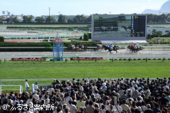 第12競走まで多くのファンが競馬場で歓声を上げた