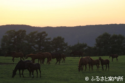 写真5 [夕日が山に]