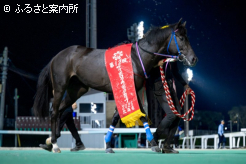 4月のデビュー戦から30kg増えた馬体重でレイをかけられた