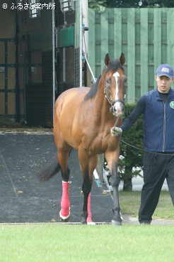 元気な姿で新天地に到着した