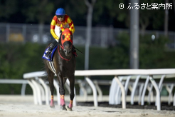 単勝1.0倍の人気に応えた人馬